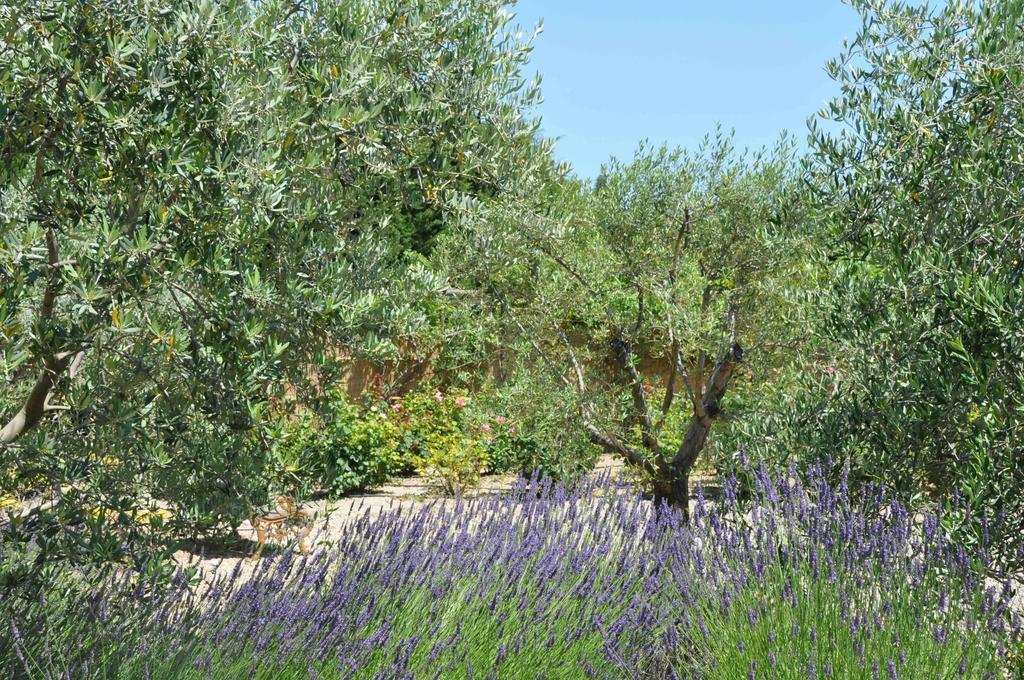 La Maison De Line Saint-Rémy-de-Provence Camera foto