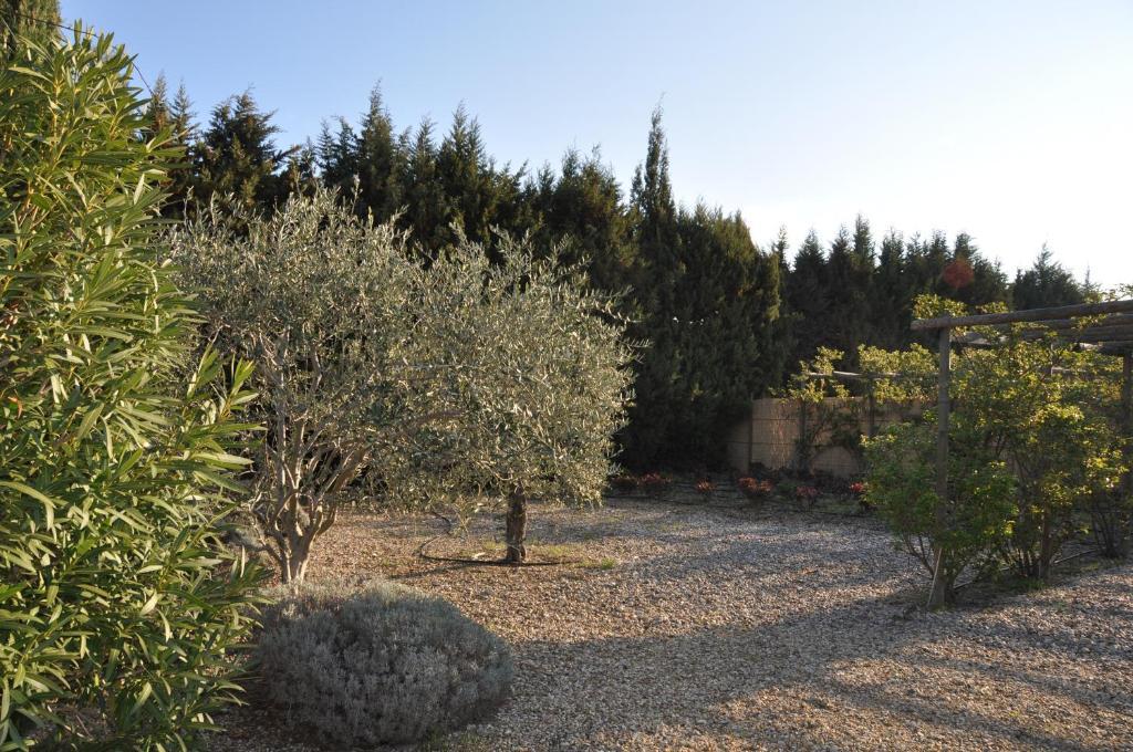 La Maison De Line Saint-Rémy-de-Provence Esterno foto
