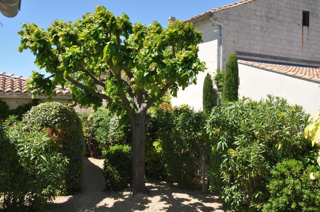La Maison De Line Saint-Rémy-de-Provence Esterno foto