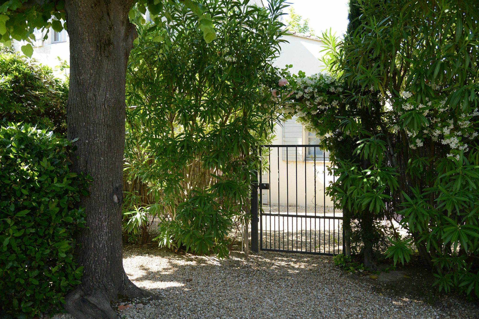 La Maison De Line Saint-Rémy-de-Provence Esterno foto