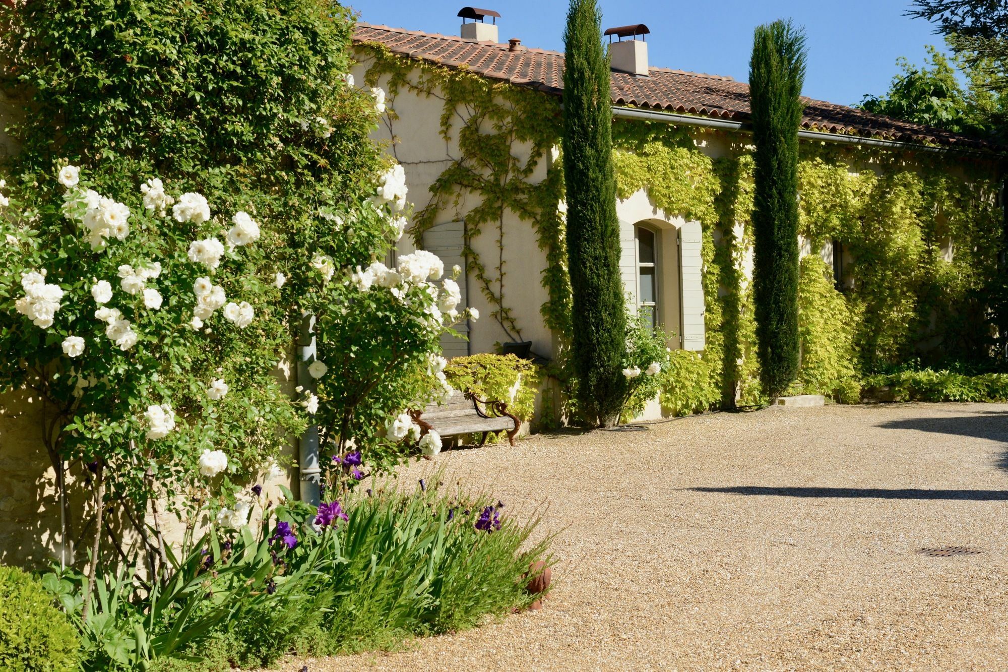 La Maison De Line Saint-Rémy-de-Provence Esterno foto